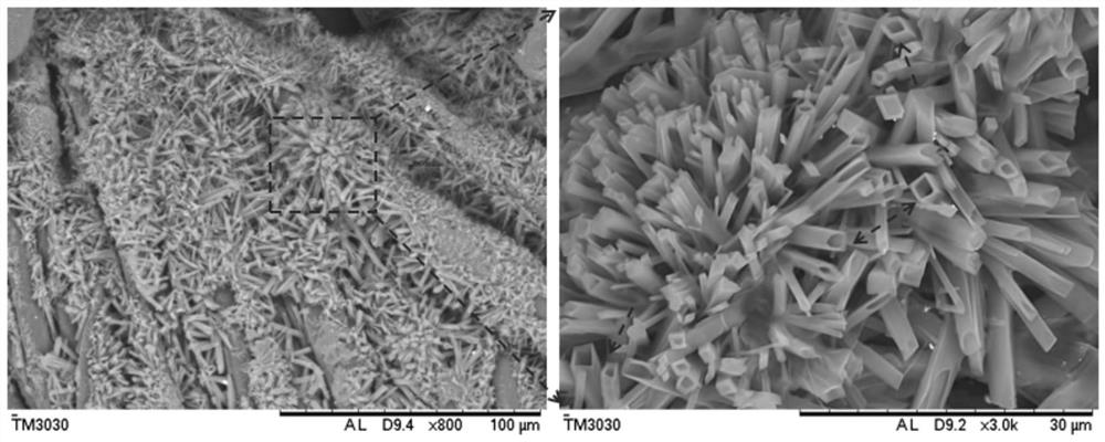 A kind of water repellent fabric and preparation method thereof