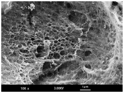 Preparation method of distiller's grains activated carbon with high specific surface area