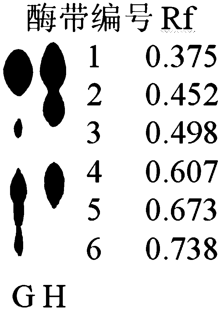 Method for identifying closeness of genetic relationships of pumpkins