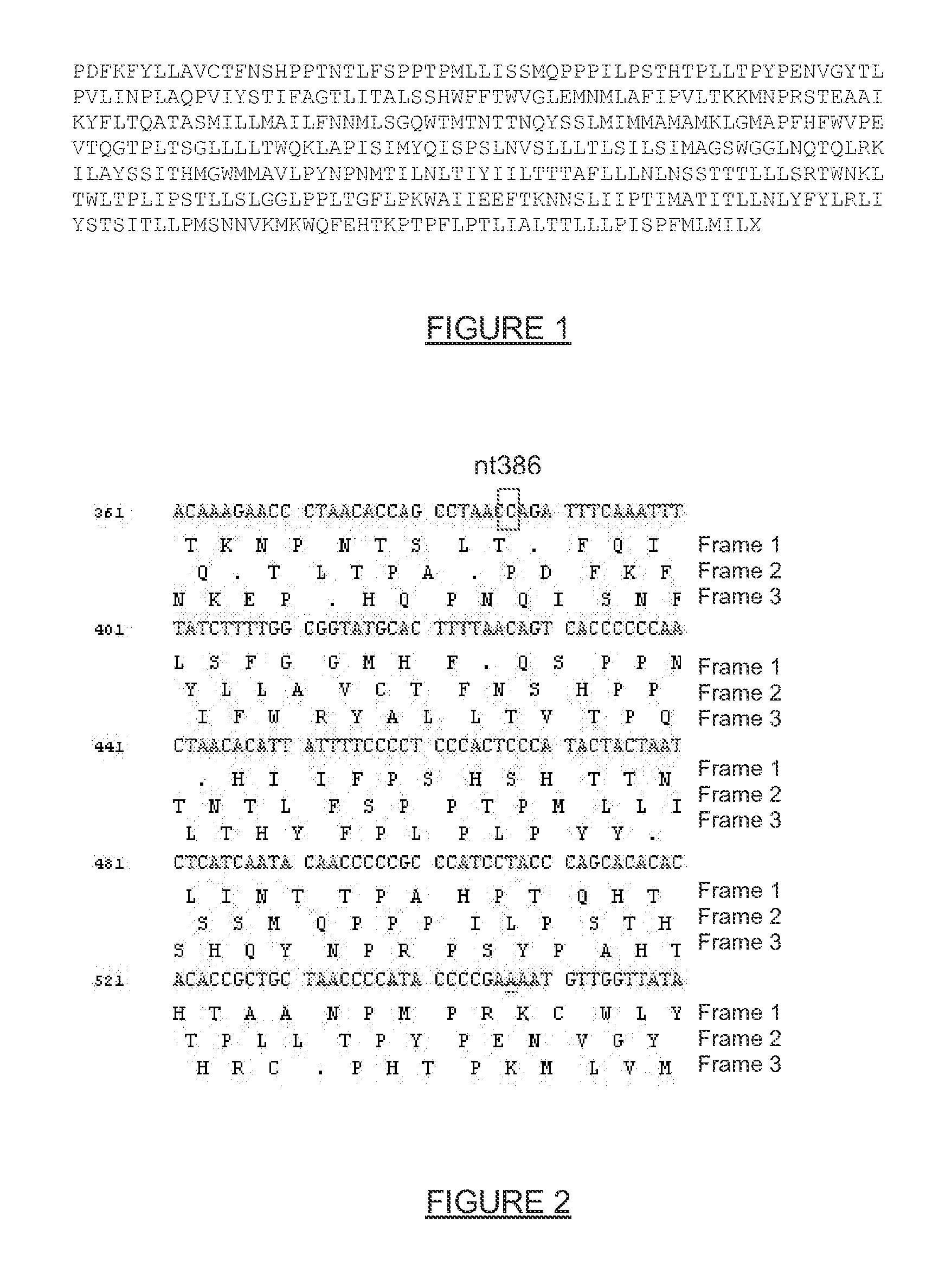 UV Associated mtDNA Fusion Transcripts and Methods and Uses Thereof