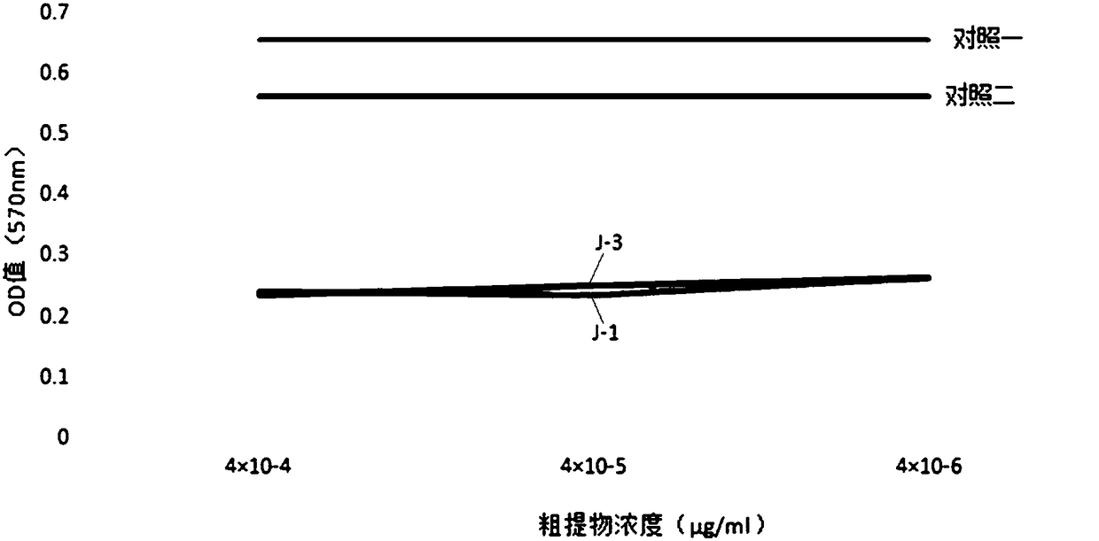 Ginkgo endophytic fungus and application thereof