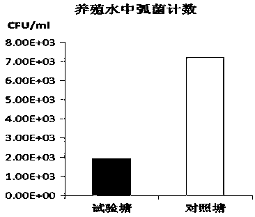 Composite micro-ecological preparation for purifying aquaculture water body and application of composite micro-ecological preparation