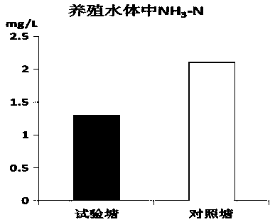 Composite micro-ecological preparation for purifying aquaculture water body and application of composite micro-ecological preparation