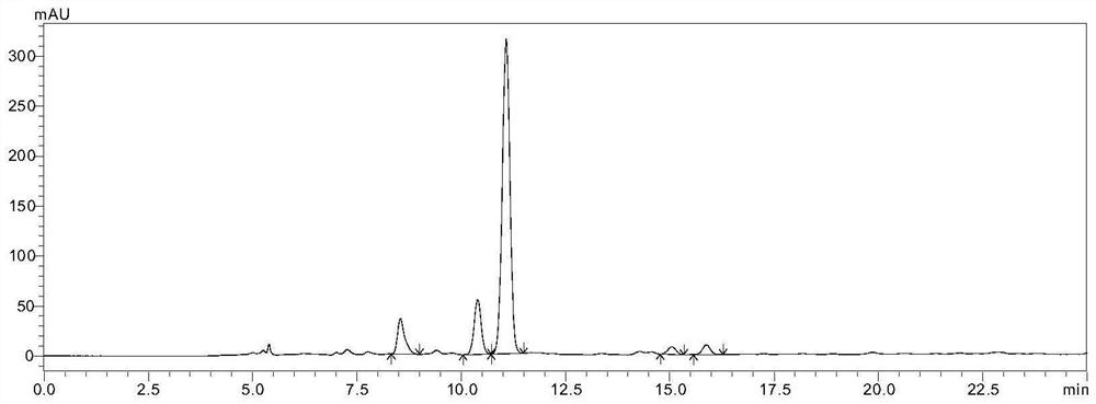 Characteristic chromatogram of ground beetle water extract and preparation thereof and construction method of characteristic chromatogram