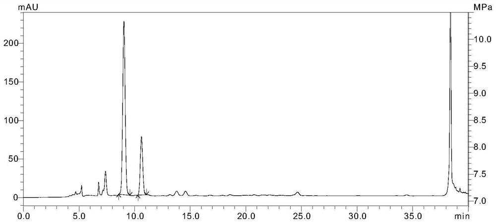 Characteristic chromatogram of ground beetle water extract and preparation thereof and construction method of characteristic chromatogram