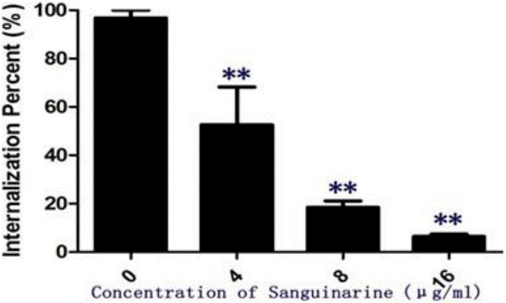 Application of sanguinarine hydrochloride to preparation of medicine for treating salmonella infection