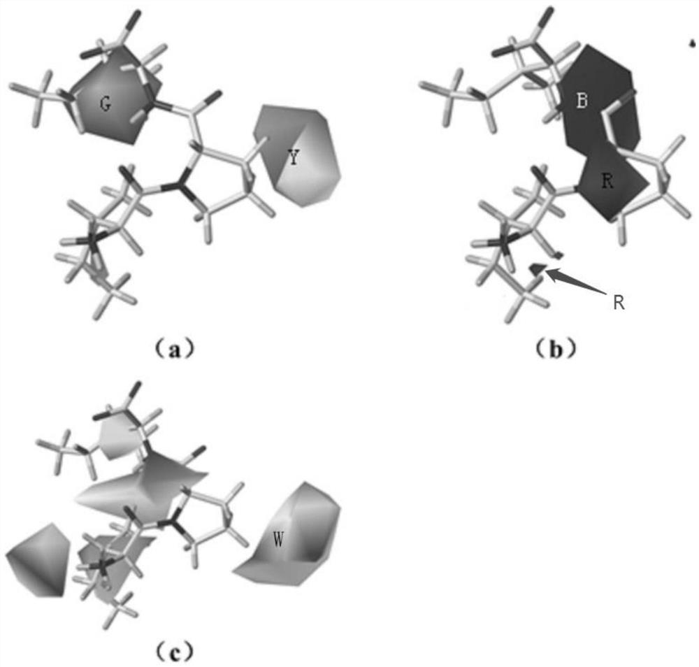 Method for designing DPP-IV (dipeptidyl peptidase-IV) inhibitory peptide by computer-aided drug, DPP-IV inhibitory peptide and application thereof