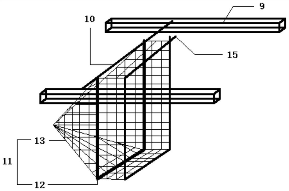 Cultivation method of seedlings of Paraloach chinensis by grade