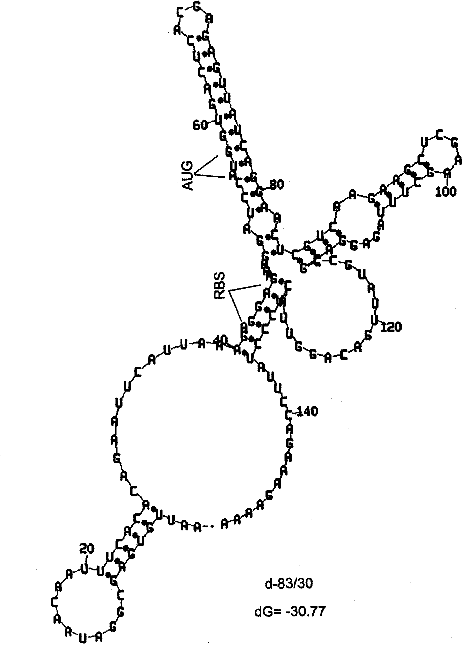 MSP-1 protein preparations from plasmodium