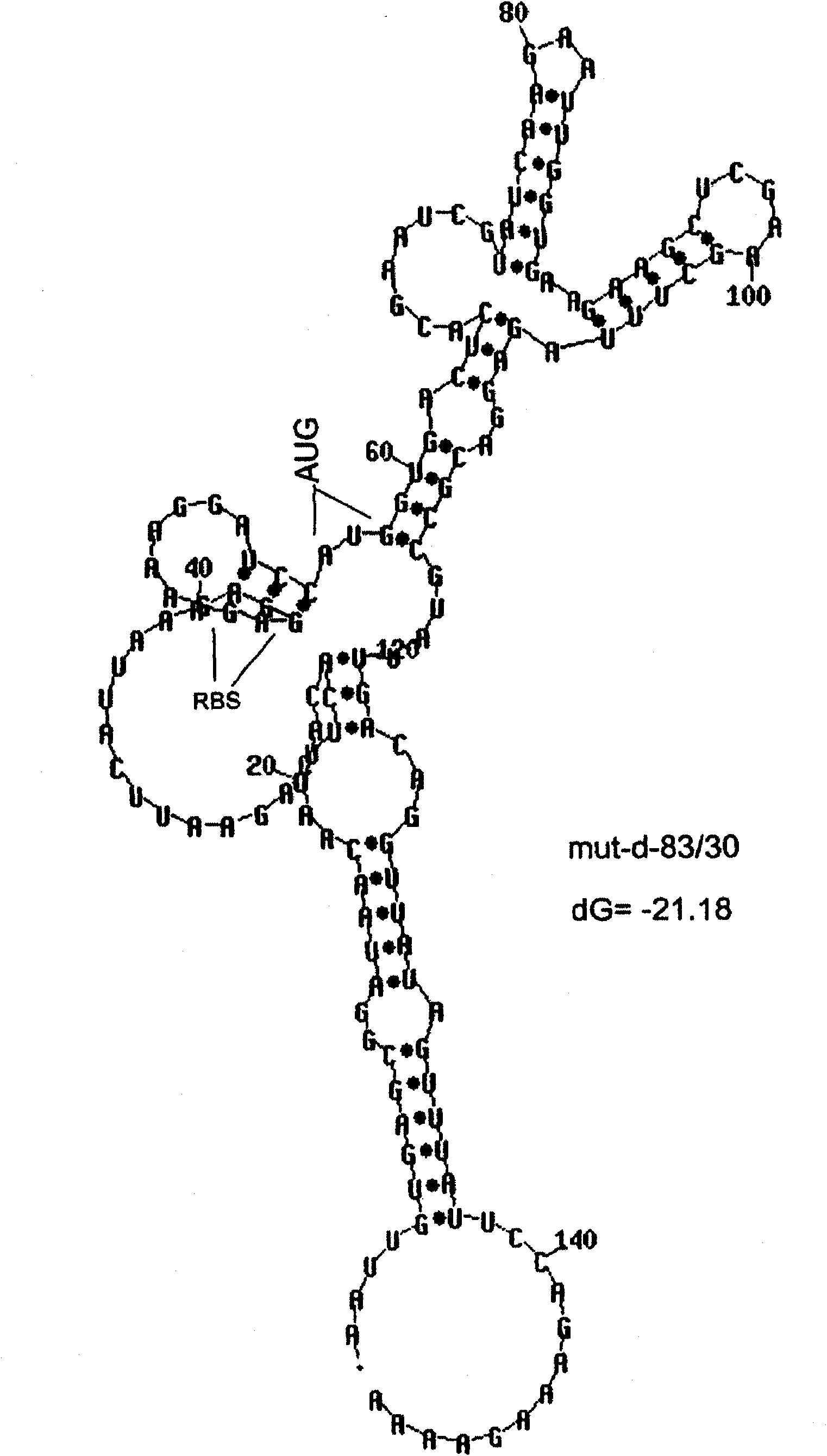 MSP-1 protein preparations from plasmodium