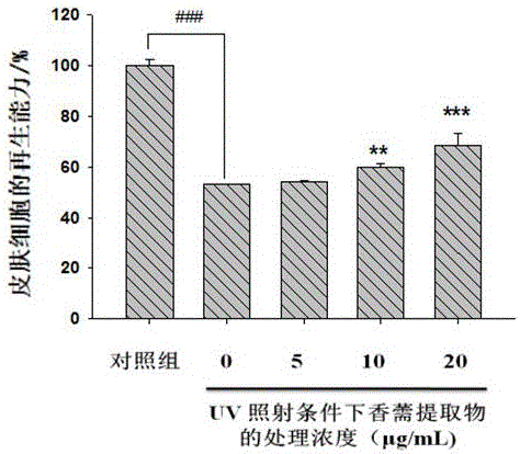 Herba elsholtziae facial mask with effects of light aging resisting and wrinkle reducing and preparation method thereof