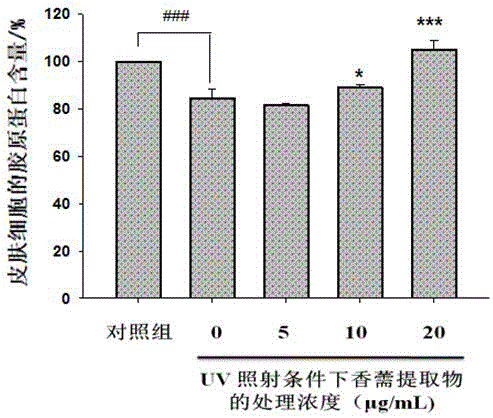 Herba elsholtziae facial mask with effects of light aging resisting and wrinkle reducing and preparation method thereof