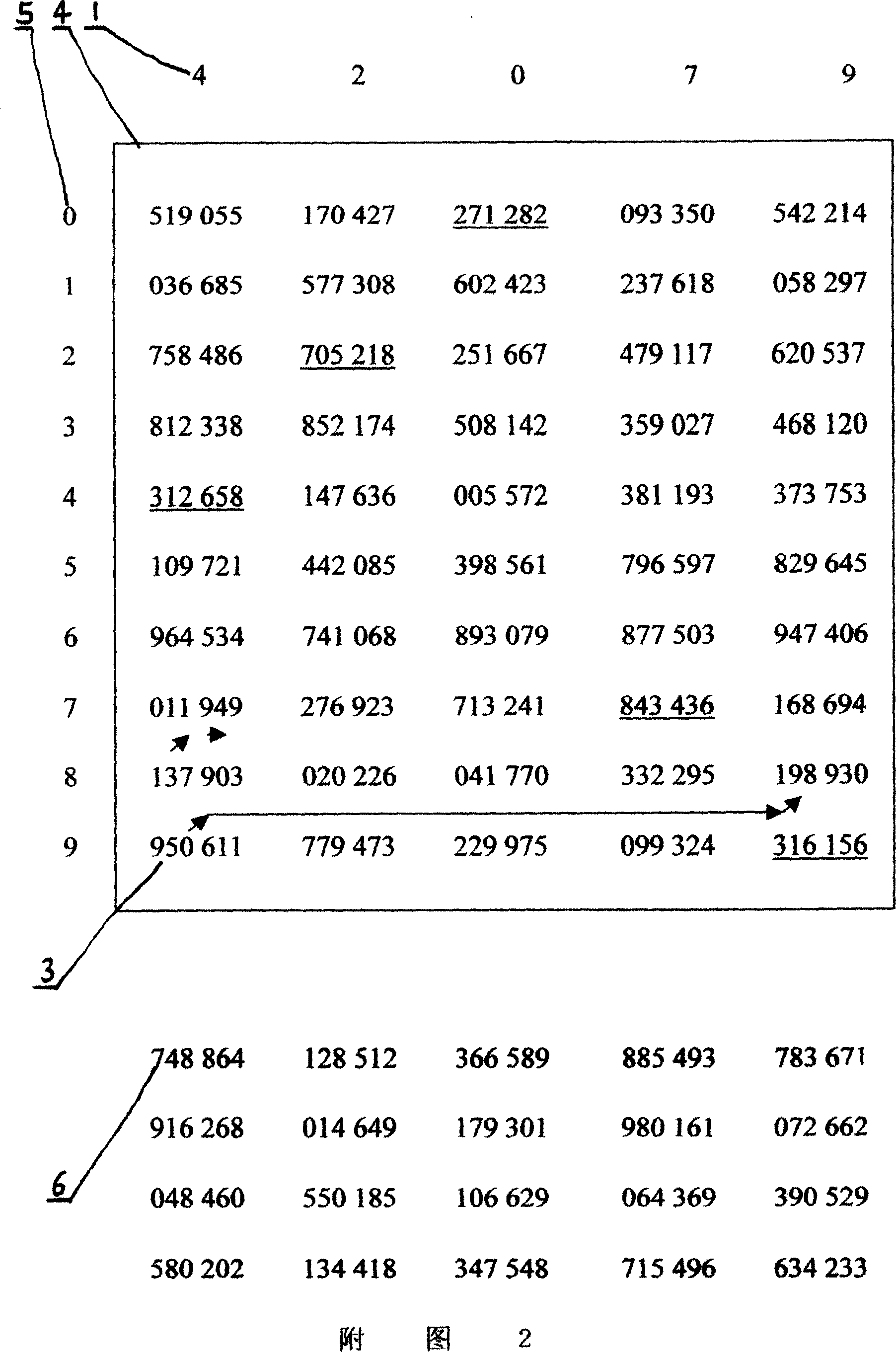 System for protecting information security of computer software or network