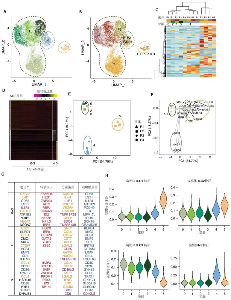 Colorectal cancer biomarker and application thereof in diagnosis, prevention, treatment and prognosis