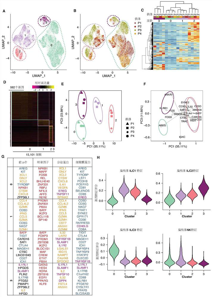 Colorectal cancer biomarker and application thereof in diagnosis, prevention, treatment and prognosis