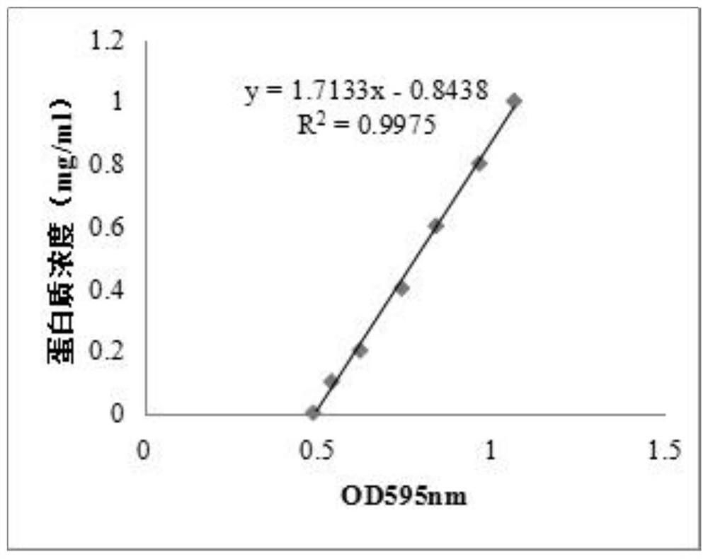 Preparation method of high-activity recombinant protein