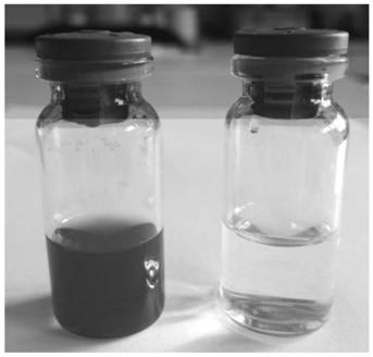 A method for separating pigment molecules in hirudin fermentation broth