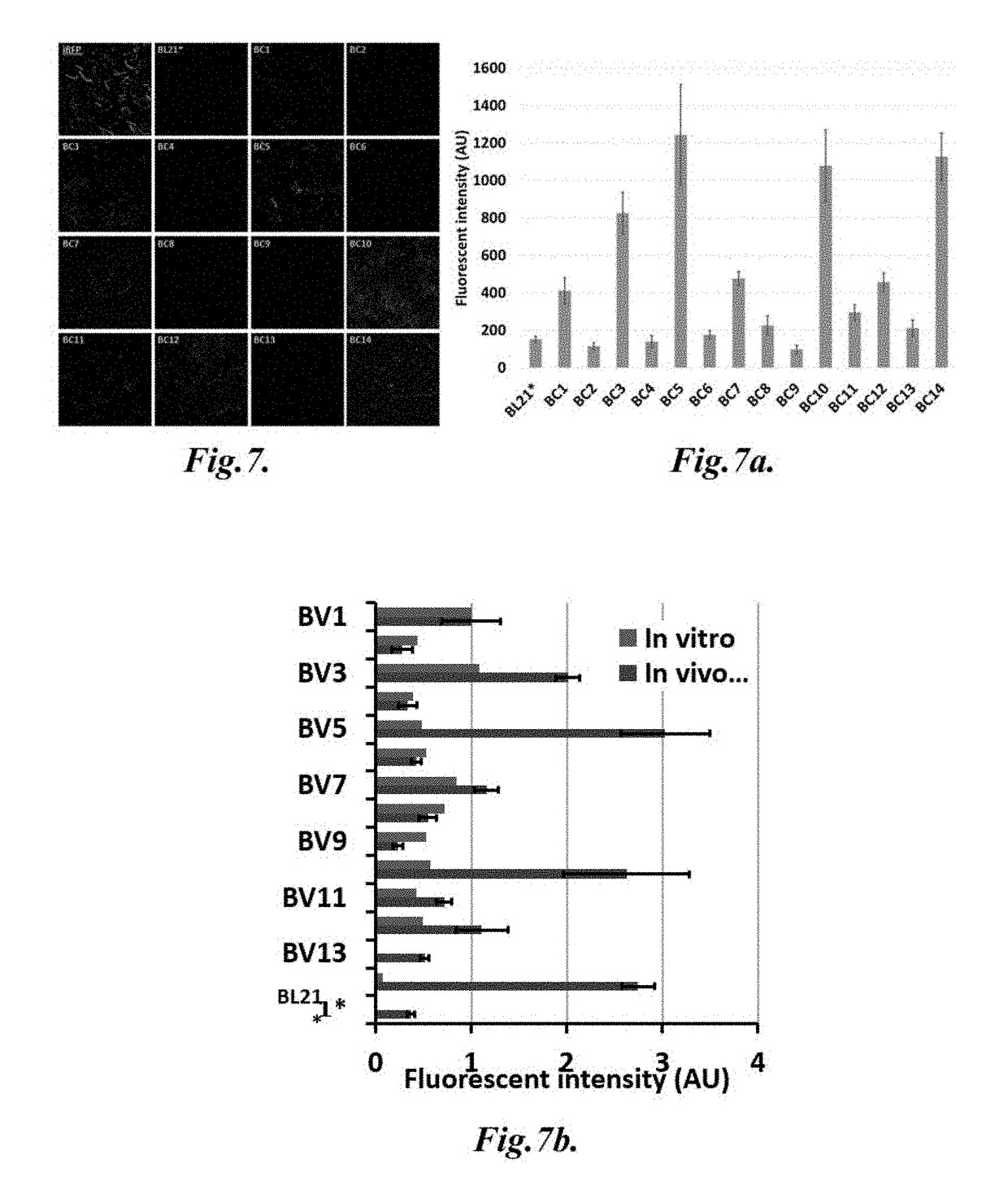 Methods and materials for sensitive detection of target molecules