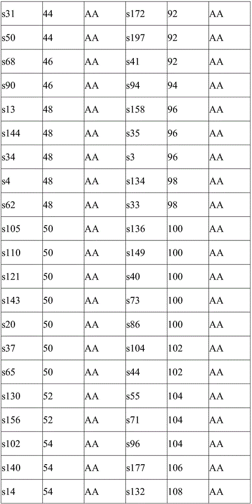 Grouper-growth-rate-related SNP (single-nucleotide polymorphism) marker and application thereof