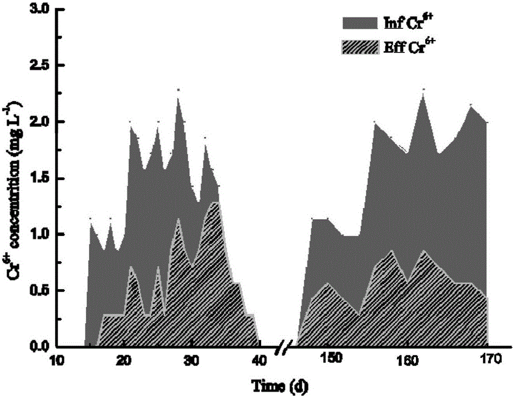 Culture method for chromium-resisting anaerobic ammonia oxidation granule sludge