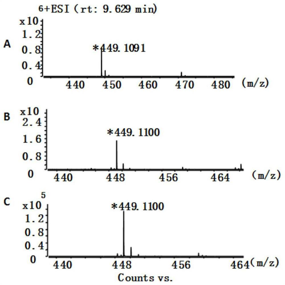 A kind of tea tree sucrose synthase cssus587, preparation method and application