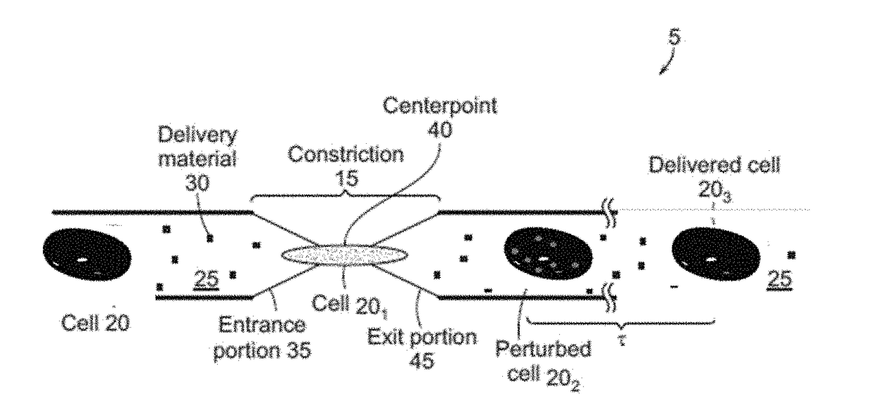 Delivery of materials to anucleate cells
