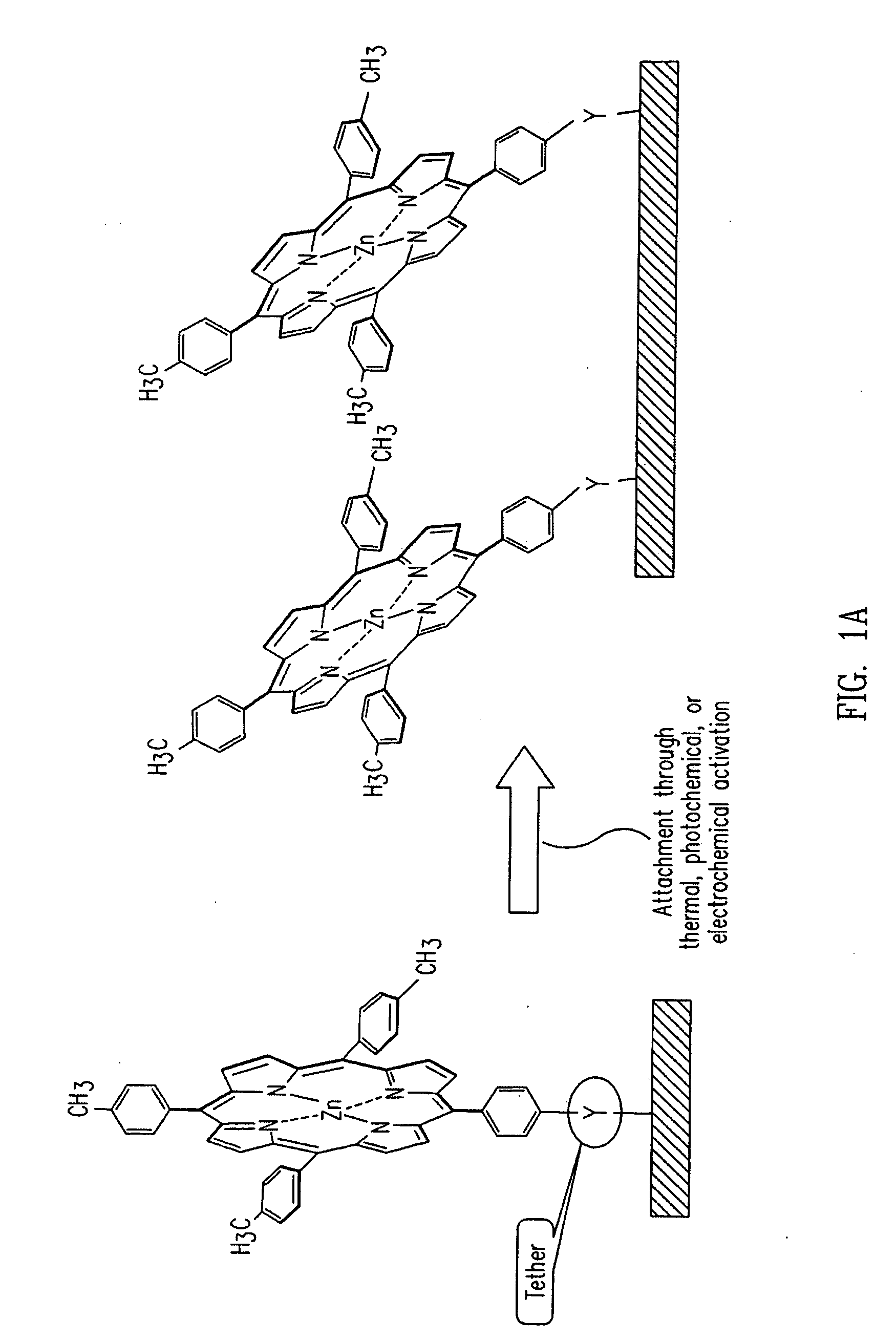 Methods of Treating a Surface to Promote Binding of Molecule(s) of Interest, Coatings and Devices Formed Therefrom