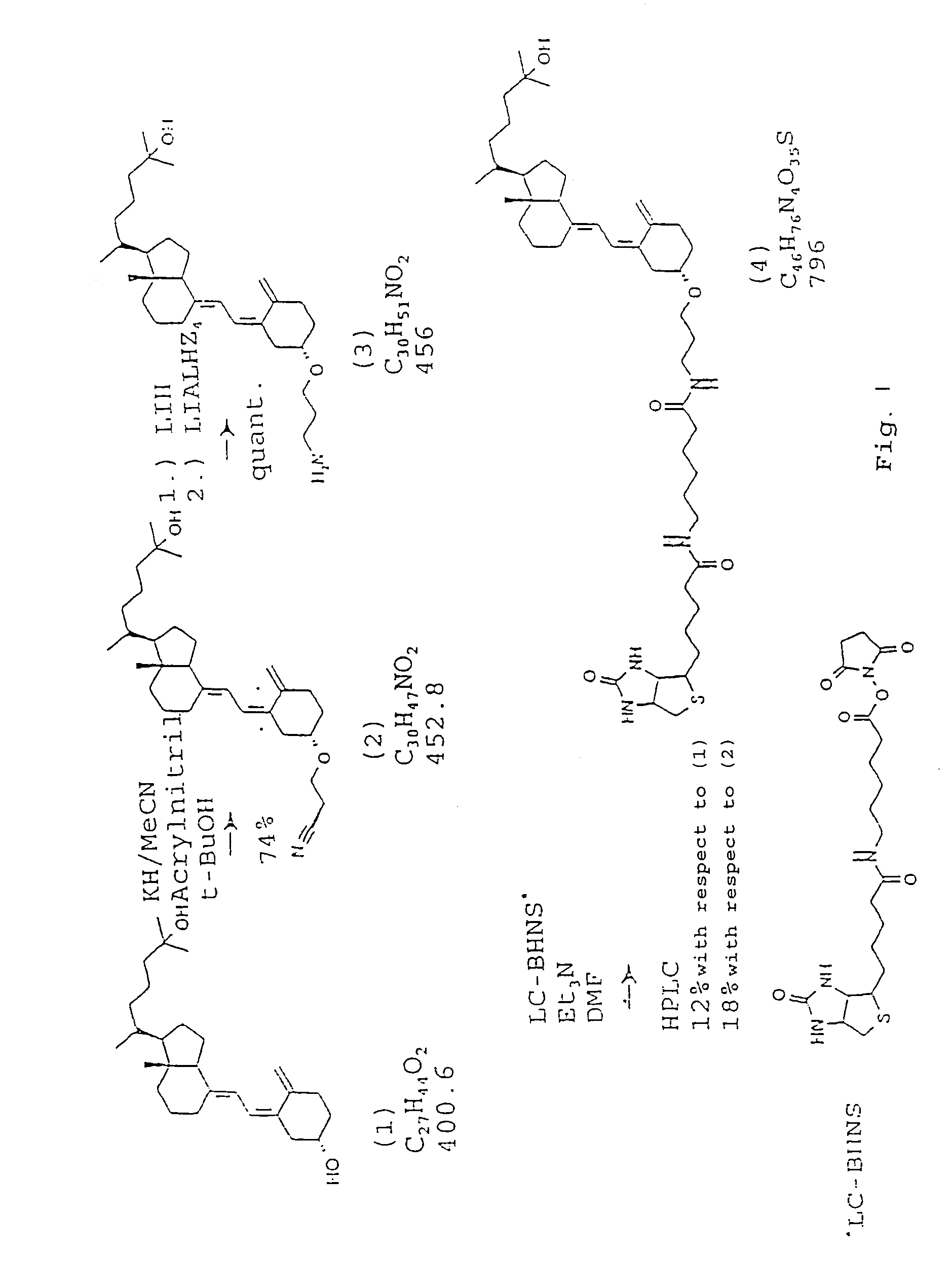 Functional vitamin D derivatives and method of determining 25-hydroxy- and 1α, 25-dihydroxy vitamin D