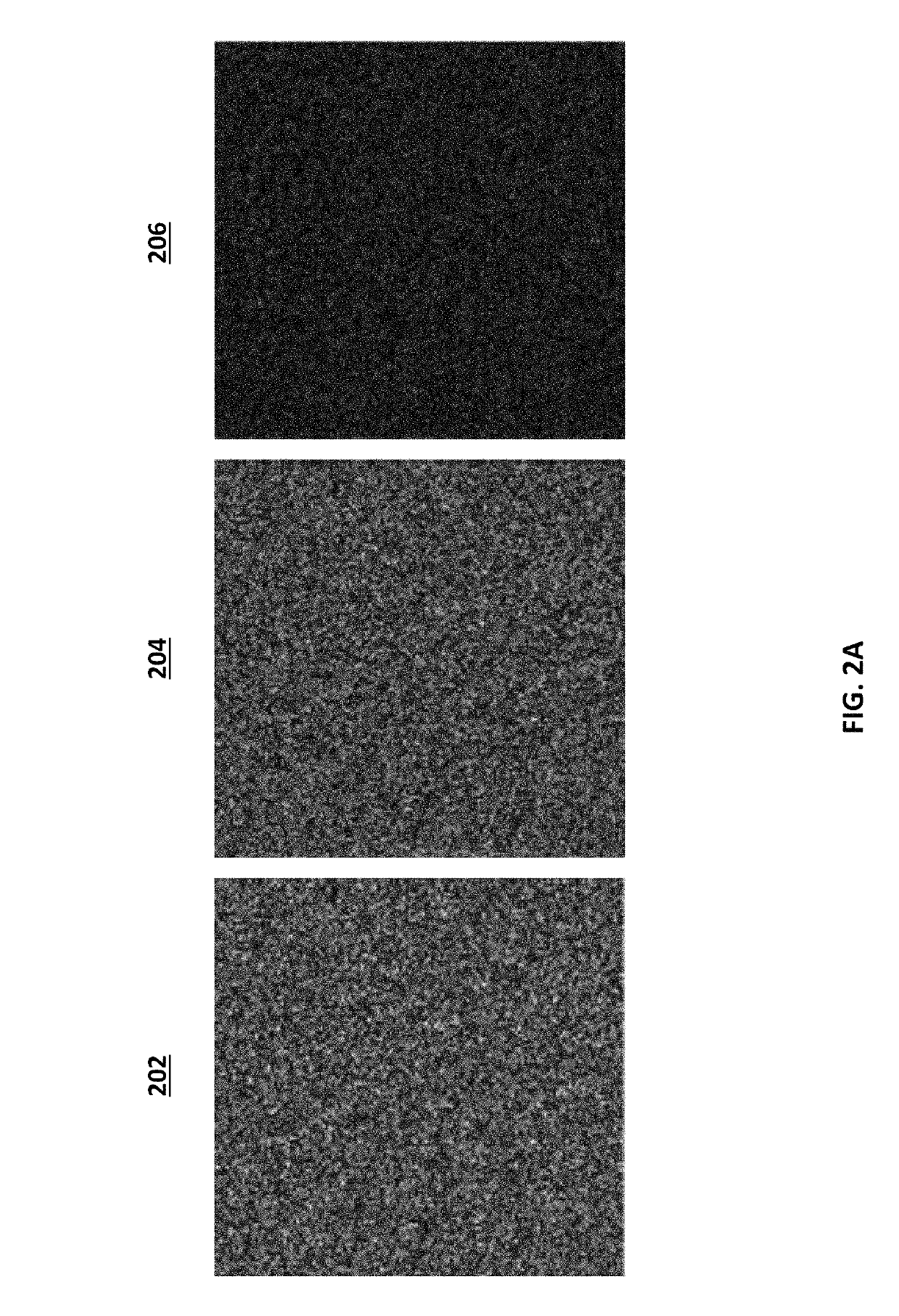System and method for noise-based training of a prediction model