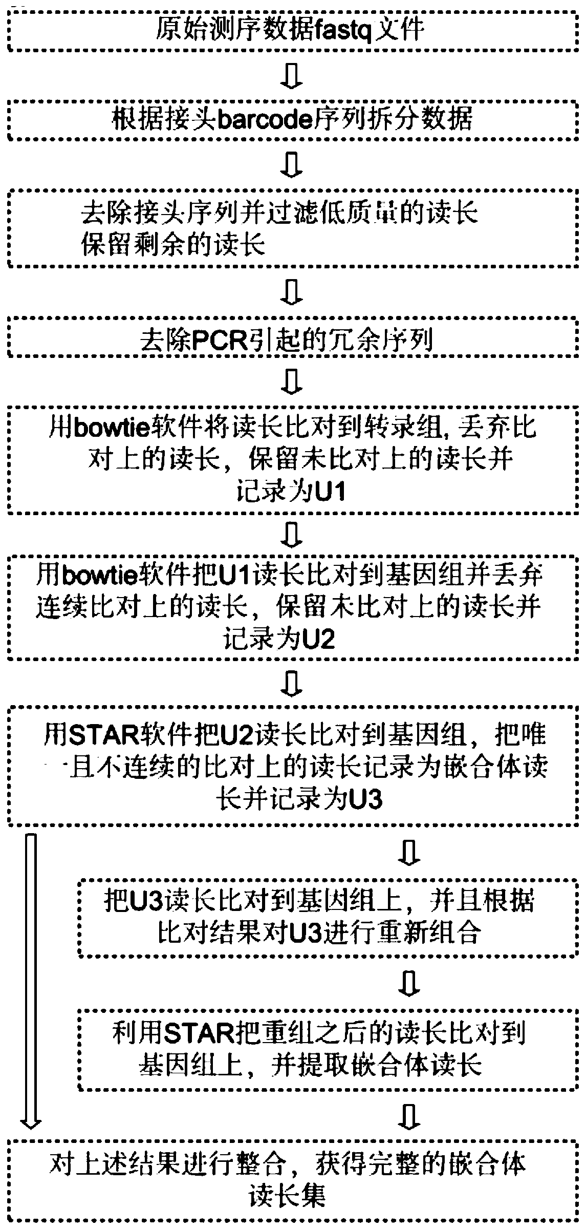 Method for obtaining substrate sequence efficiently bound in ADAR protein cells, substrate sequence and application