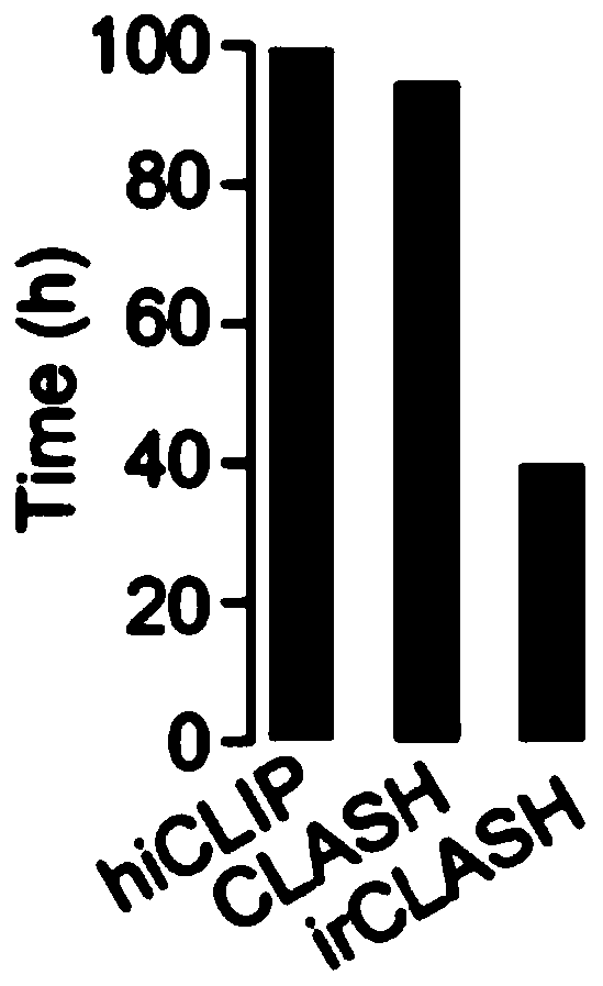 Method for obtaining substrate sequence efficiently bound in ADAR protein cells, substrate sequence and application