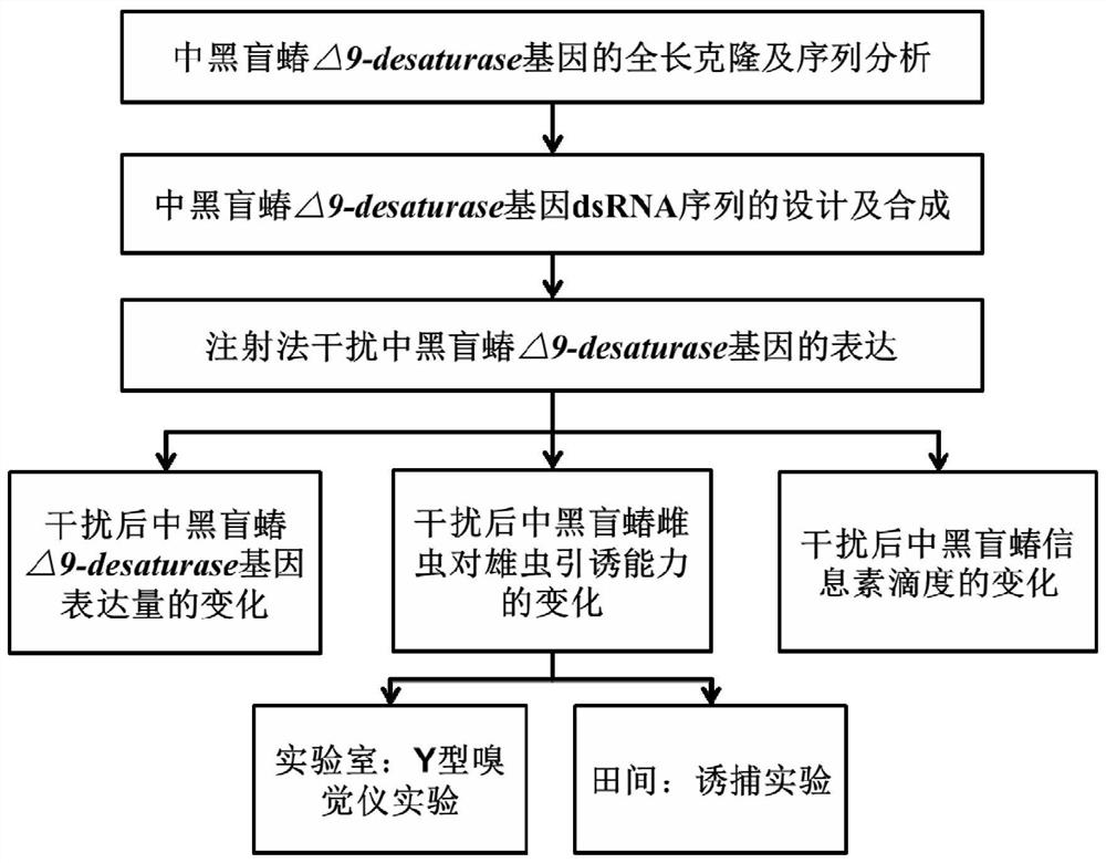 An isolated Δ9-desaturase gene and its encoded protein from Lygus melanogaster