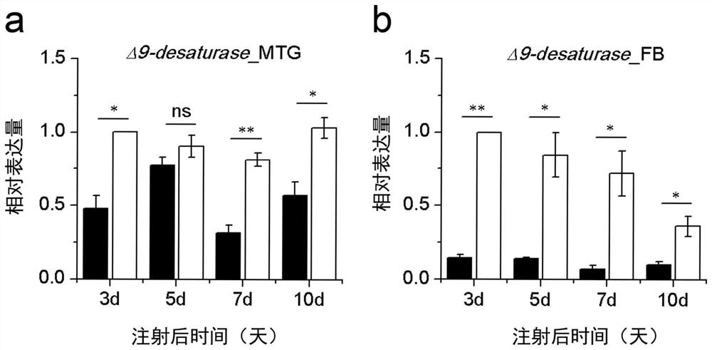 An isolated Δ9-desaturase gene and its encoded protein from Lygus melanogaster