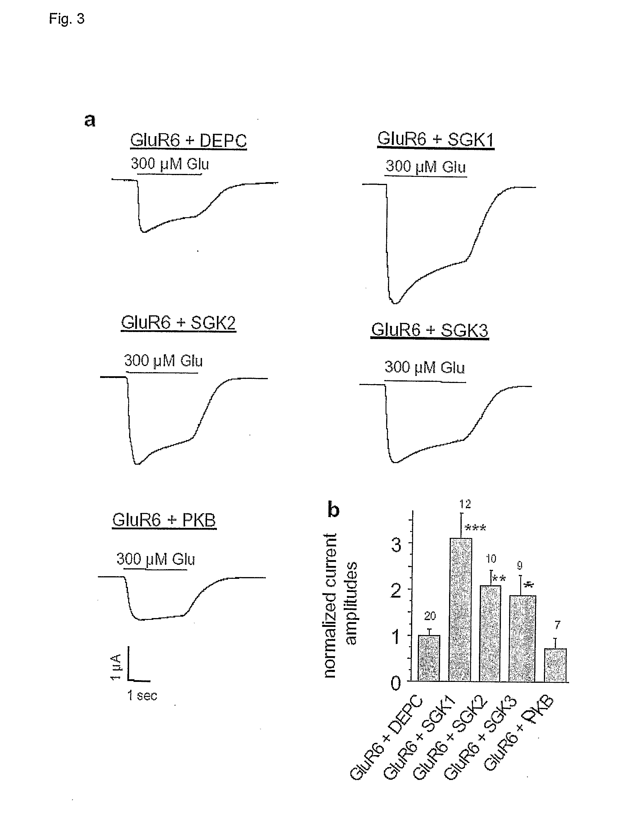 Methods for modulating glutamate receptors for treating neuropsychiatric disorders 
comprising the use of modulators of serum and glucocorticoid inducible kinases