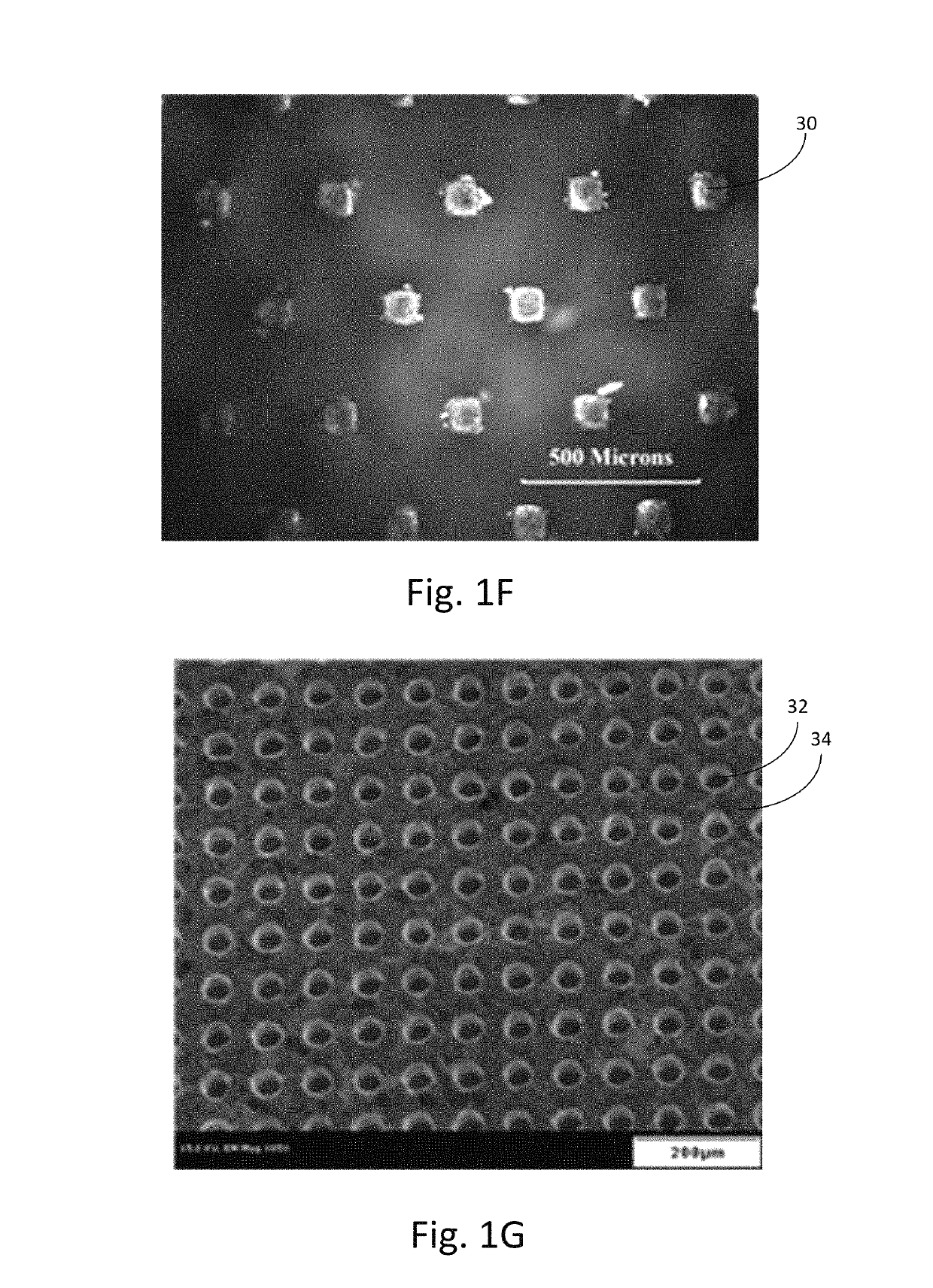 Microstructure arrangement for gripping low coefficient of friction materials