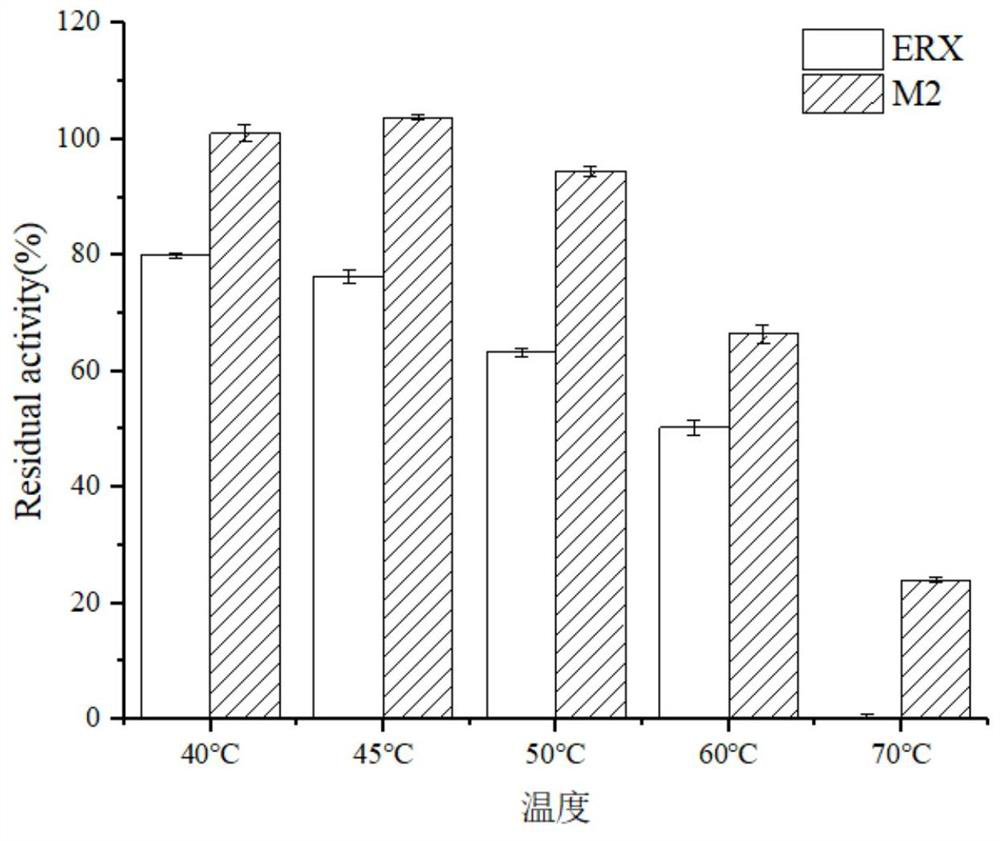 Class of fused xylanase mutants with high specific activity and application thereof