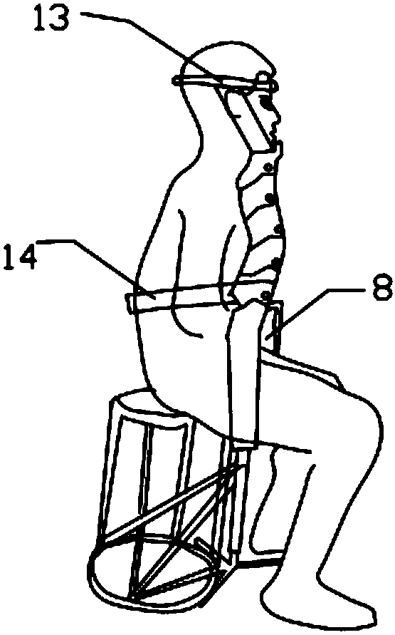 Spine auxiliary device
