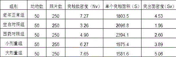 Traditional Chinese medicine composition for improving memory and mild cognitive impairment and preparation method thereof