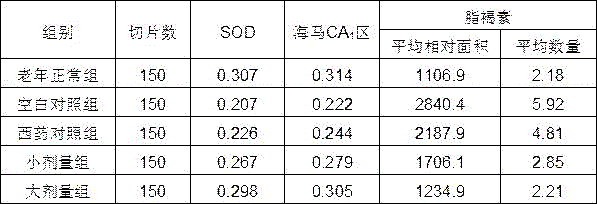 Traditional Chinese medicine composition for improving memory and mild cognitive impairment and preparation method thereof