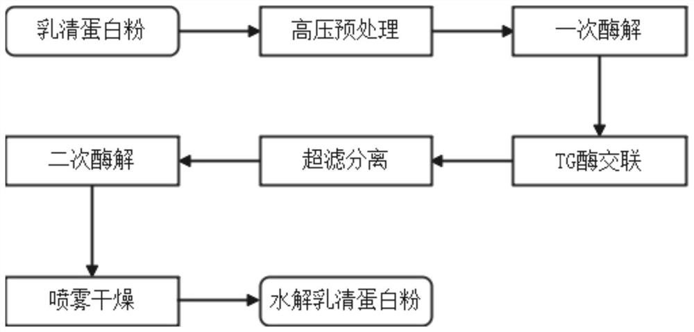 High glutamine content hydrolyzed whey protein powder with improved digestibility and preparation thereof