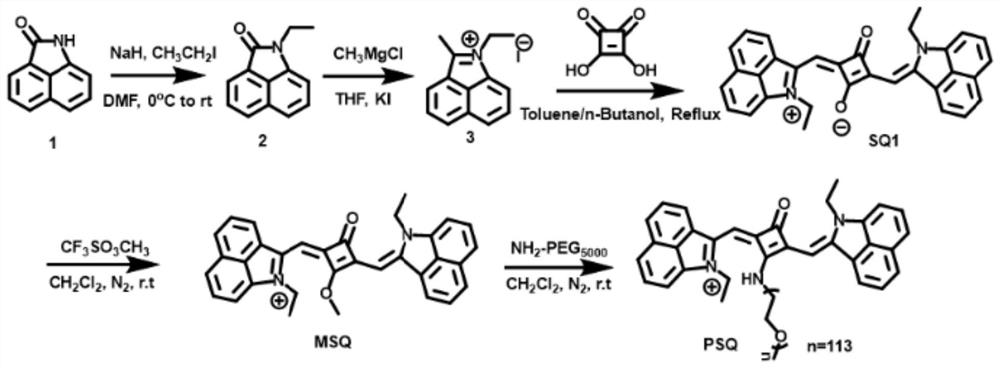 Synthesis method of water-soluble squarylium cyanine type near-infrared organic macromolecular photo-thermal agent with high stability