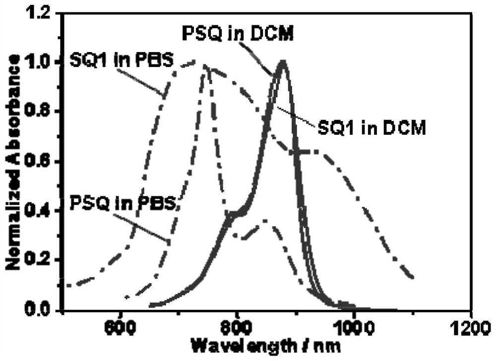 Synthesis method of water-soluble squarylium cyanine type near-infrared organic macromolecular photo-thermal agent with high stability