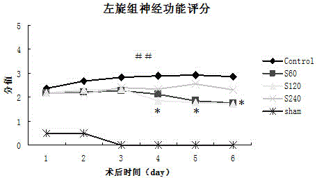 Novel application of oxiracetam or levo-oxiracetam in field of pharmaceuticals