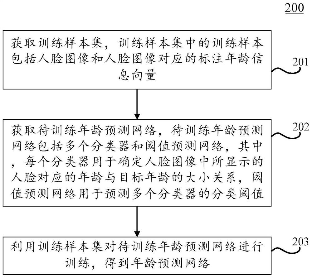 Age prediction network generation method and device, age prediction method and device, equipment and medium