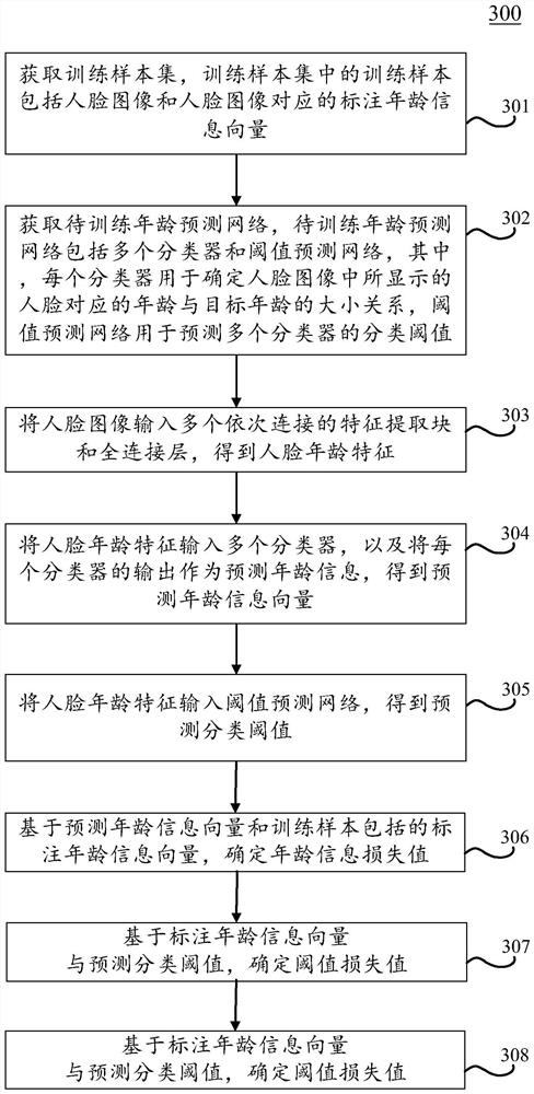 Age prediction network generation method and device, age prediction method and device, equipment and medium