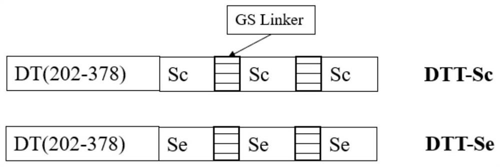 Recombinant protein highly targeting SARS-ConV-2 virus S protein extracellular BD-terminal domain and subunit vaccine thereof