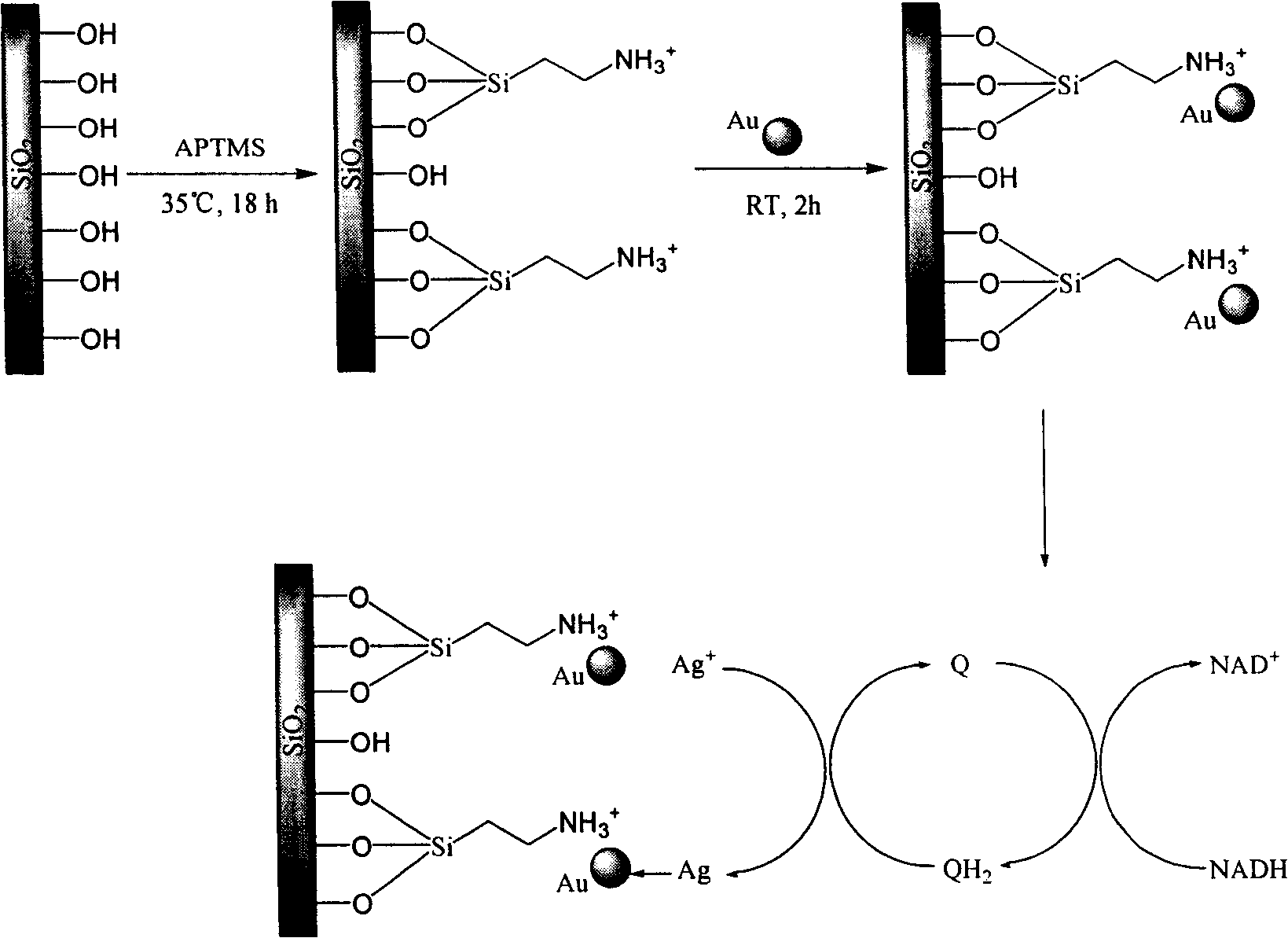 Nano biological sensor for detecting NADH concentration and its detecting method