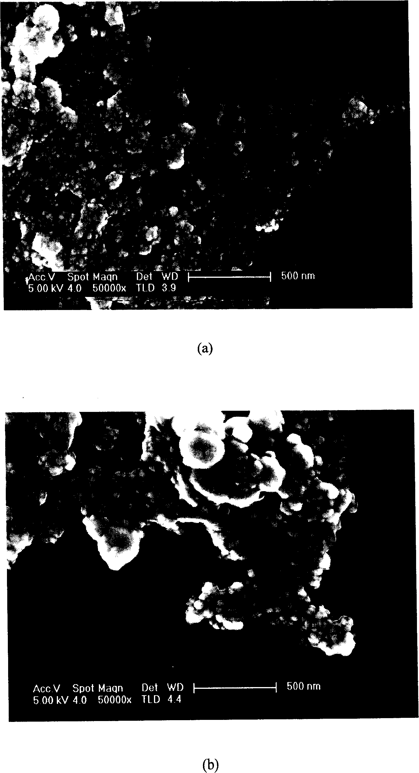 Nano biological sensor for detecting NADH concentration and its detecting method