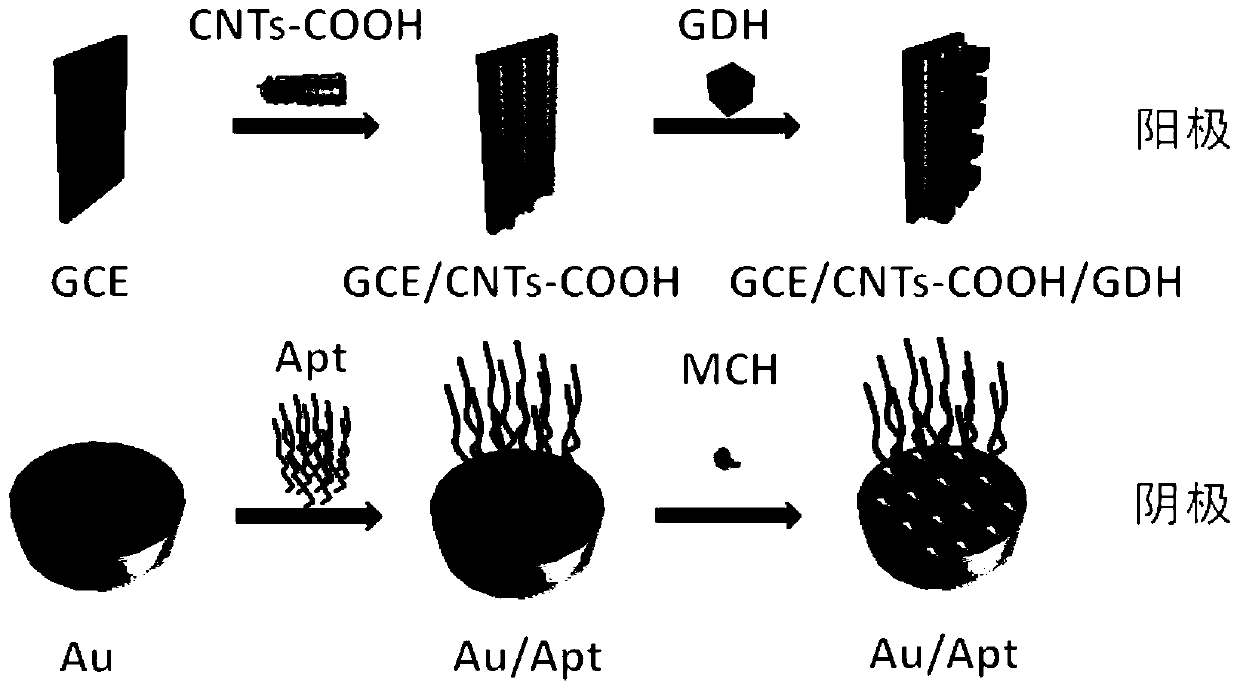 A self-powered nucleic acid aptamer sensor and its preparation method and application