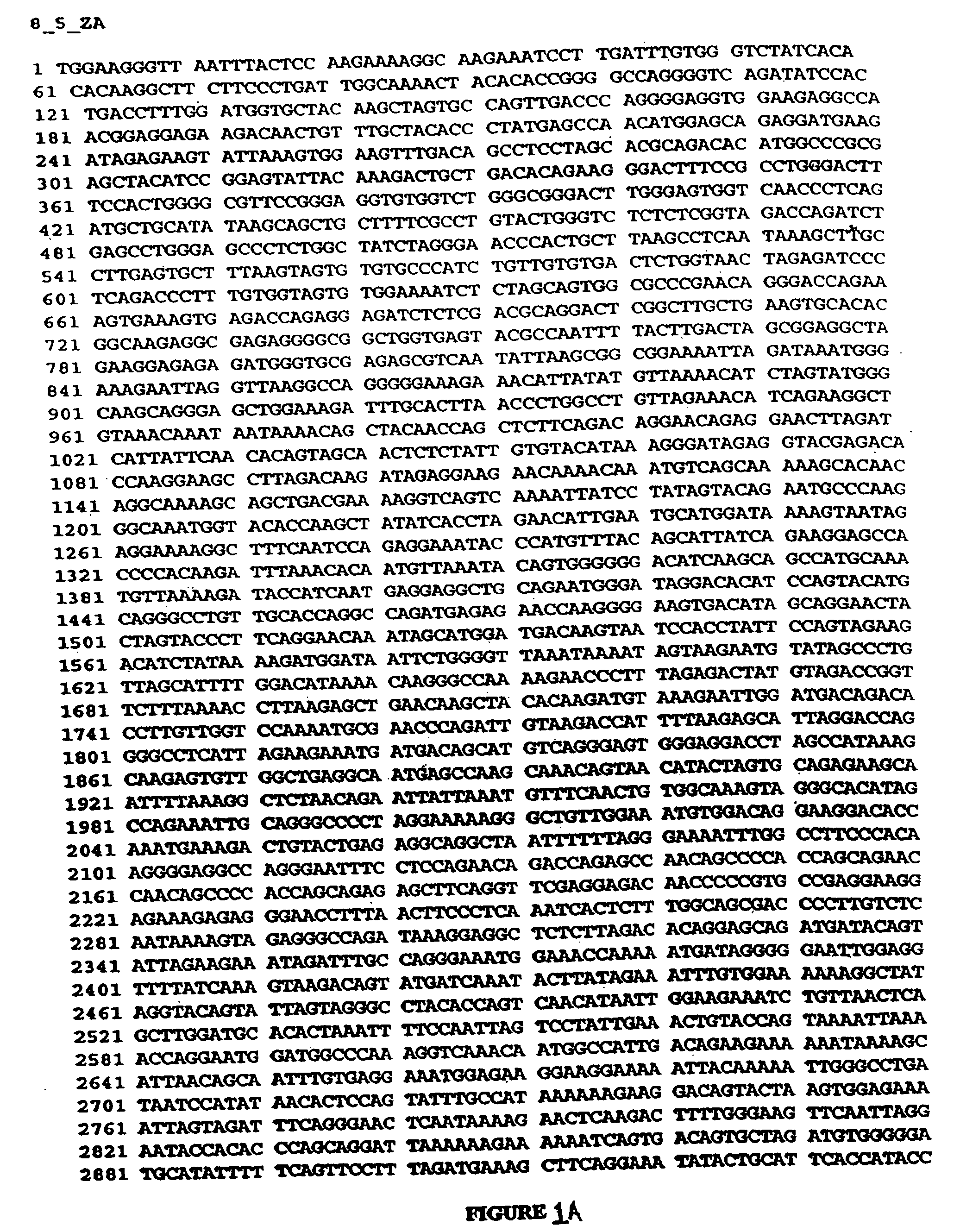 Polynucleotides encoding antigenic HIV type B polypeptides, polypeptides and uses thereof